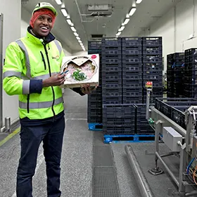 FJ_Logistiek Teamleider (BBL/BOL)